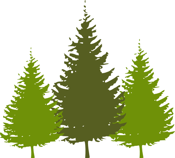 Redwood Tree Clip Art. Download this image as: