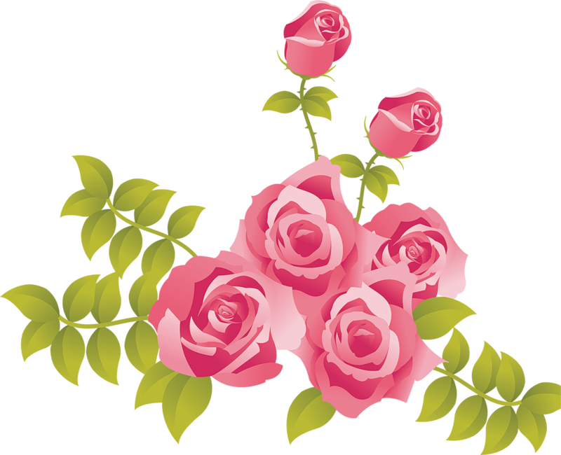 Large Pink Rose Clipart