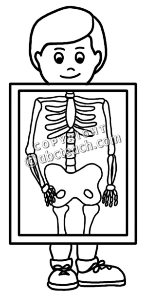 Related Pictures X Ray Clip Art Black And White