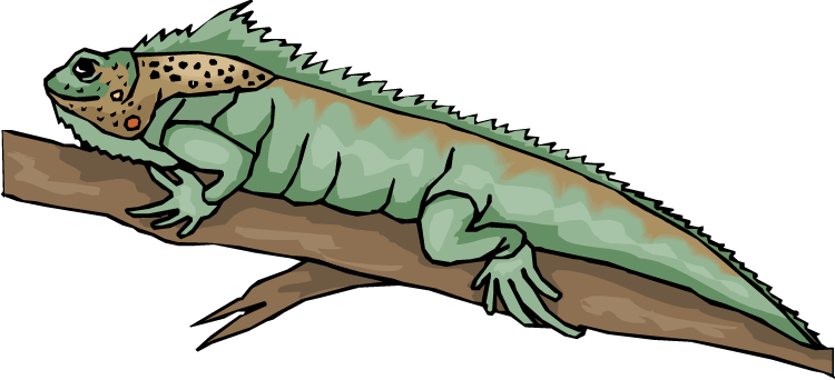 Reptile clip art - Reptile Clip Art
