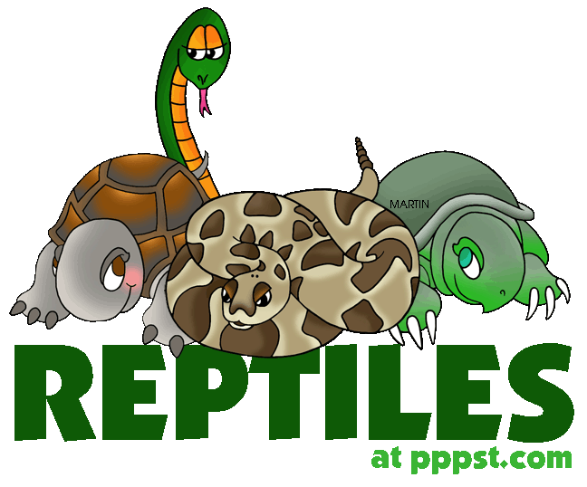 Reptile Clipart