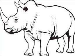 Rhinoceros - Rhinoceros Clipart