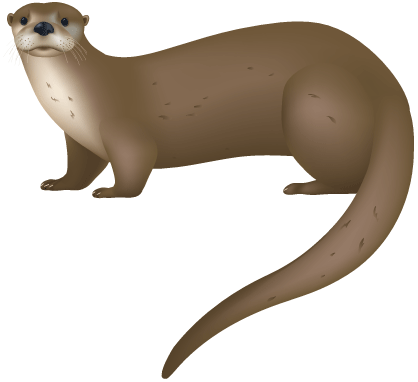 Sea Otter clip art