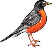 Winter robin sign; American Robin bird Vector
