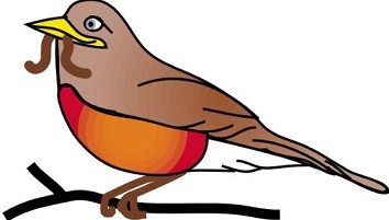 robin perched on a branch - Robin Clipart