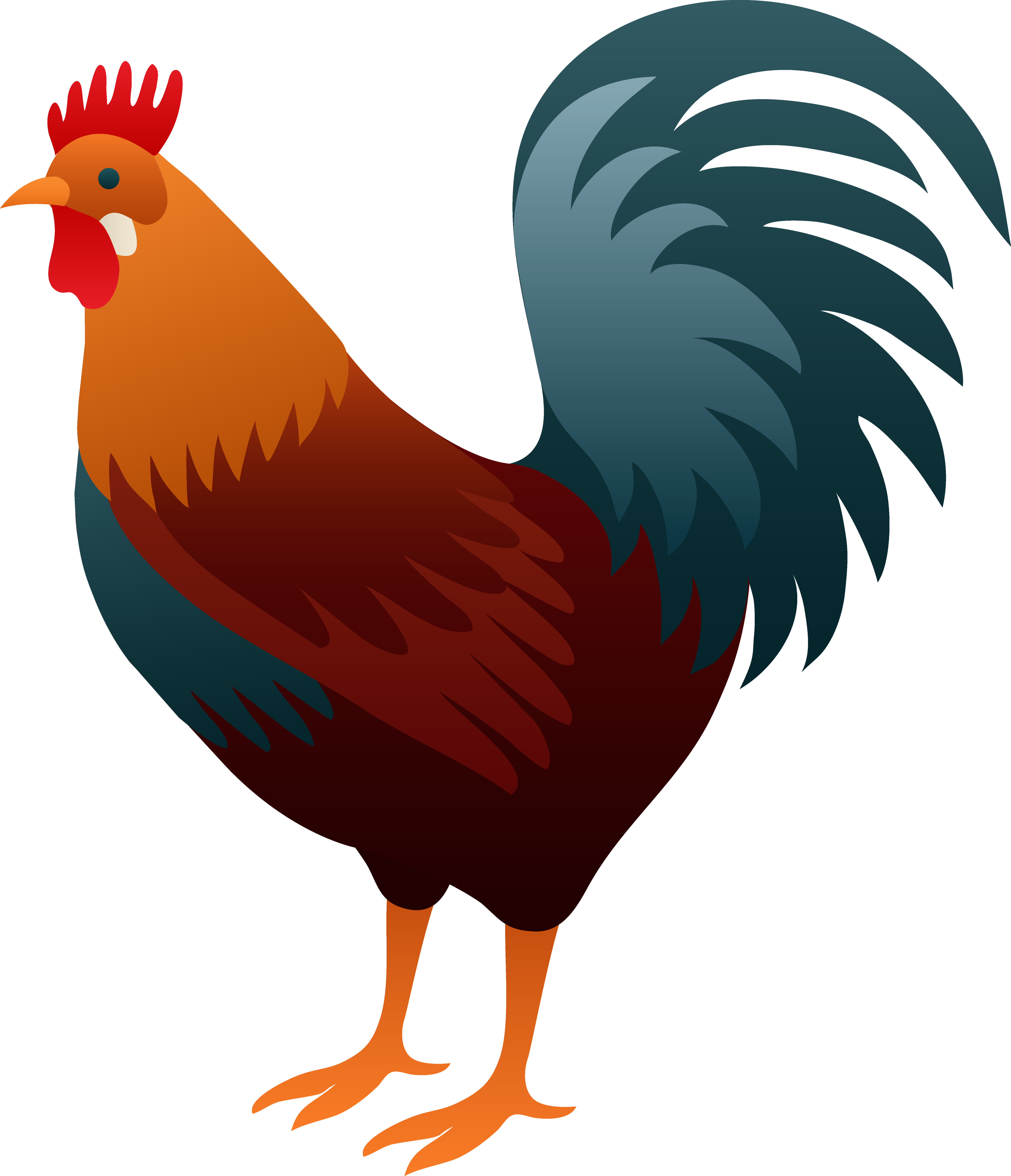 Rooster Images Clip Art - Clipart Rooster