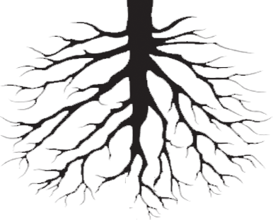 Roots Clipart. Tree Roots Drawing