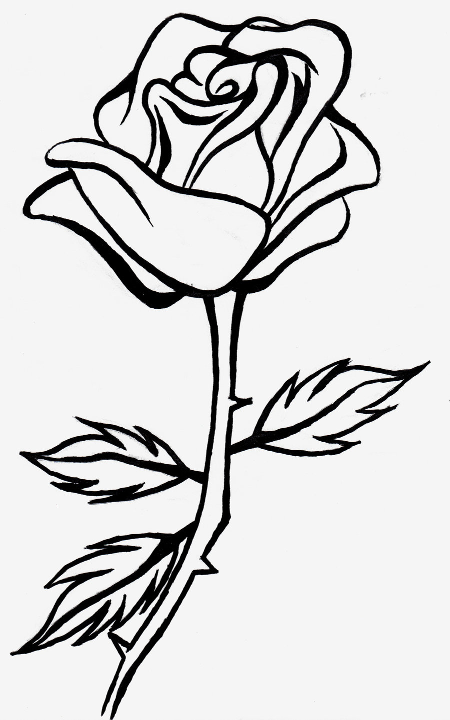 rose clipart