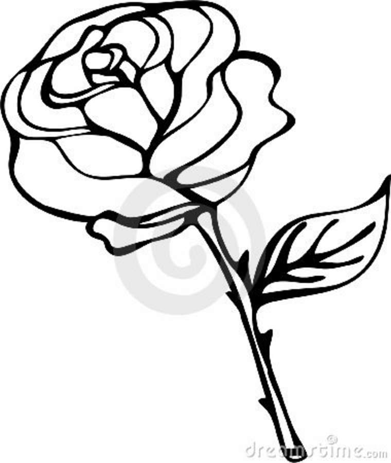 rose black and white outline