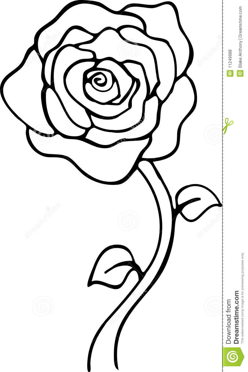 rose clipart black and white