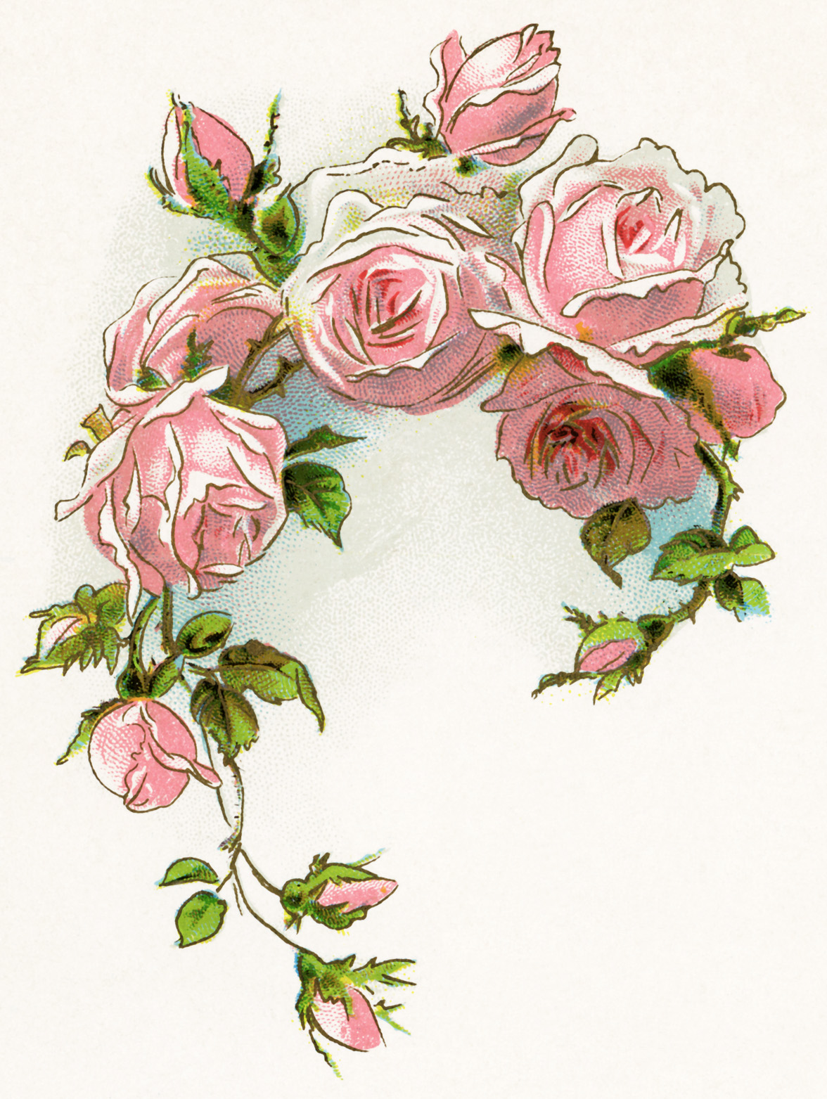 Rose Border Clip Art Roses Fl - Vintage Flower Clip Art