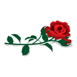 Rose Clip Art - Free Clip Art Roses