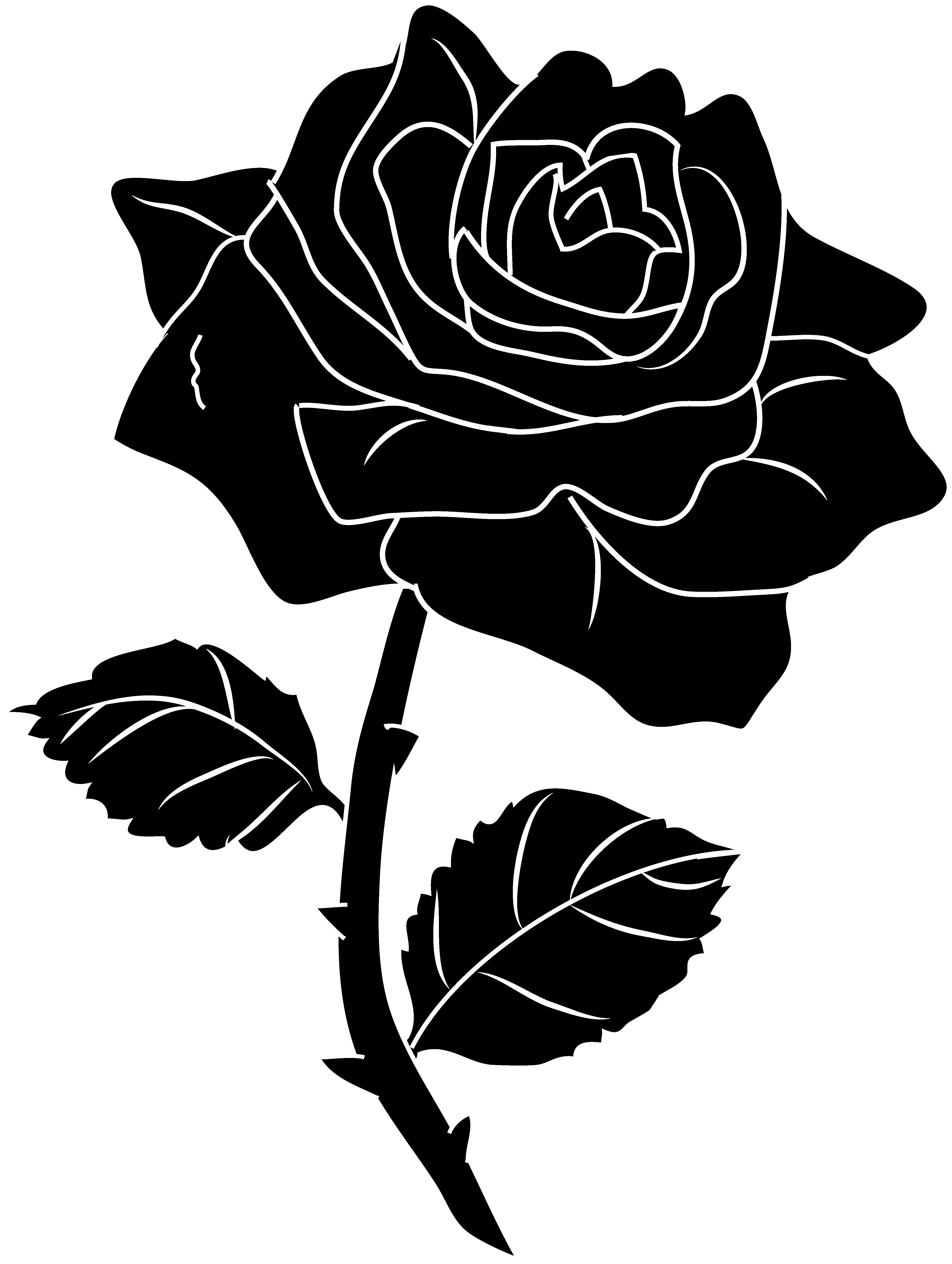 Rose Black And White Outline 