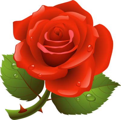 Rose Clipart u0026middot; wrinkle clipart