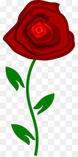 Best Roses Clip art - rose leslie