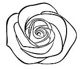 Rose u0026middot; black silhouette outline rose, isolated on white