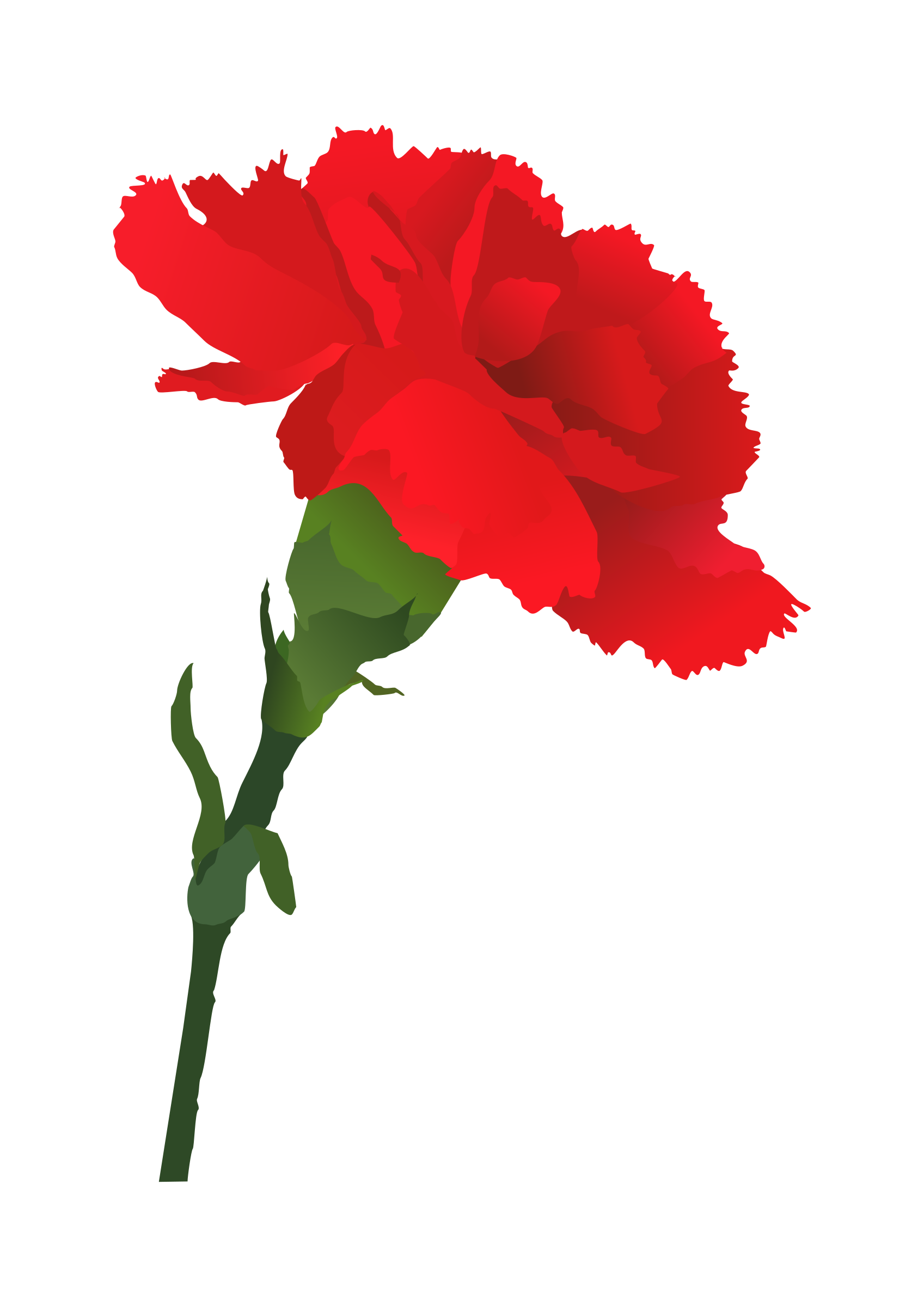 rose vector clipart.