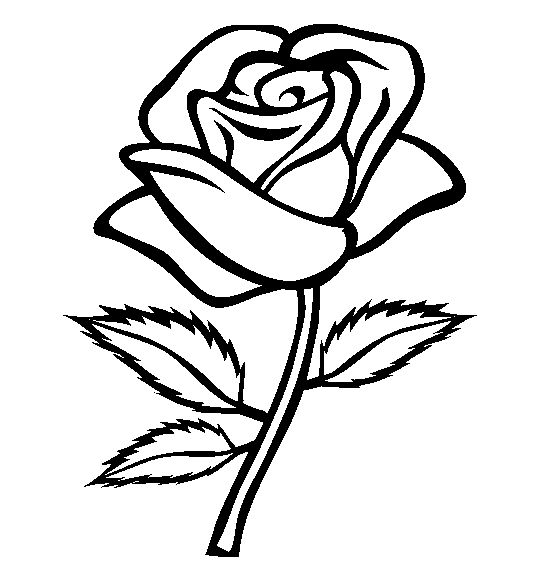 red rose outline clipart
