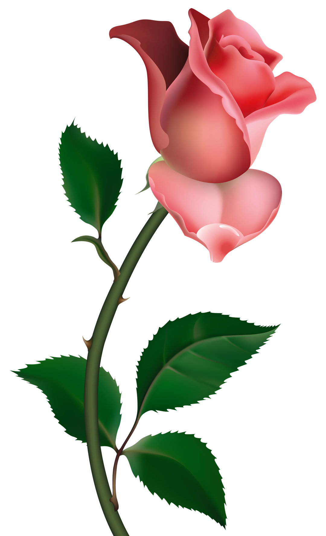 Roses free rose clipart public domain flower clip art images and 4