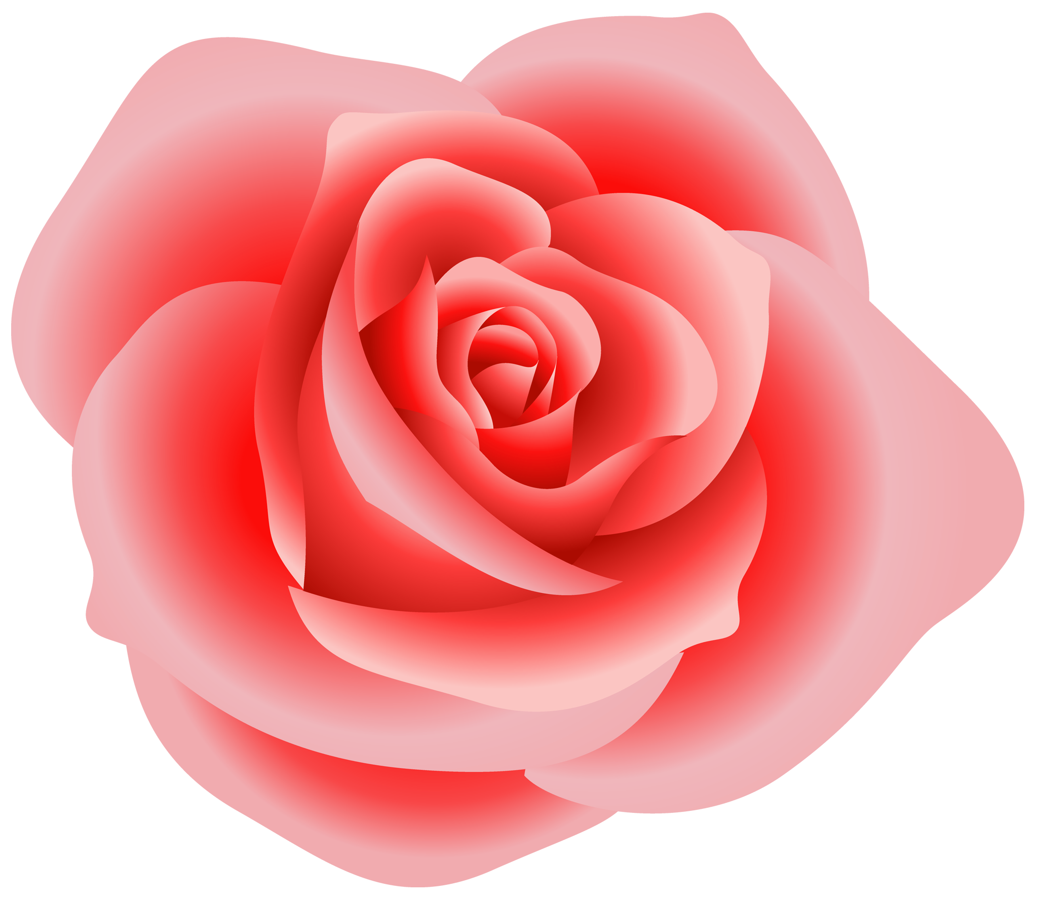 Roses rose clip art vector . - Pink Rose Clip Art