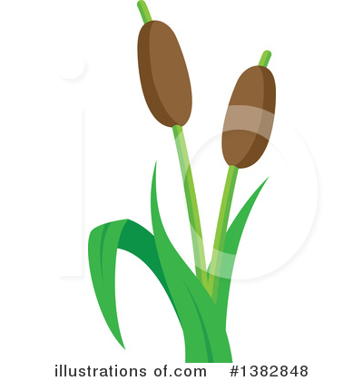 Royalty-Free (RF) Cat Tails C - Cattails Clipart