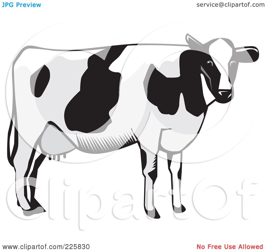 Stylized Cow Drawing Country 