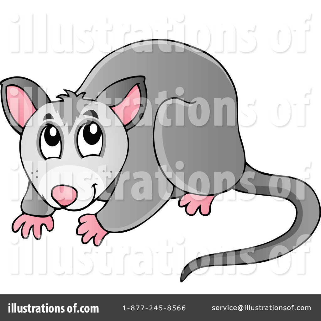 Royalty-Free (RF) Possum Clip - Possum Clipart