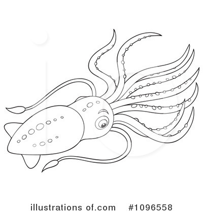 Royalty-Free (RF) Squid Clipa - Squid Clip Art