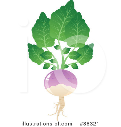 Royalty-Free (RF) Turnip Clipart Illustration #88321 by Tonis Pan