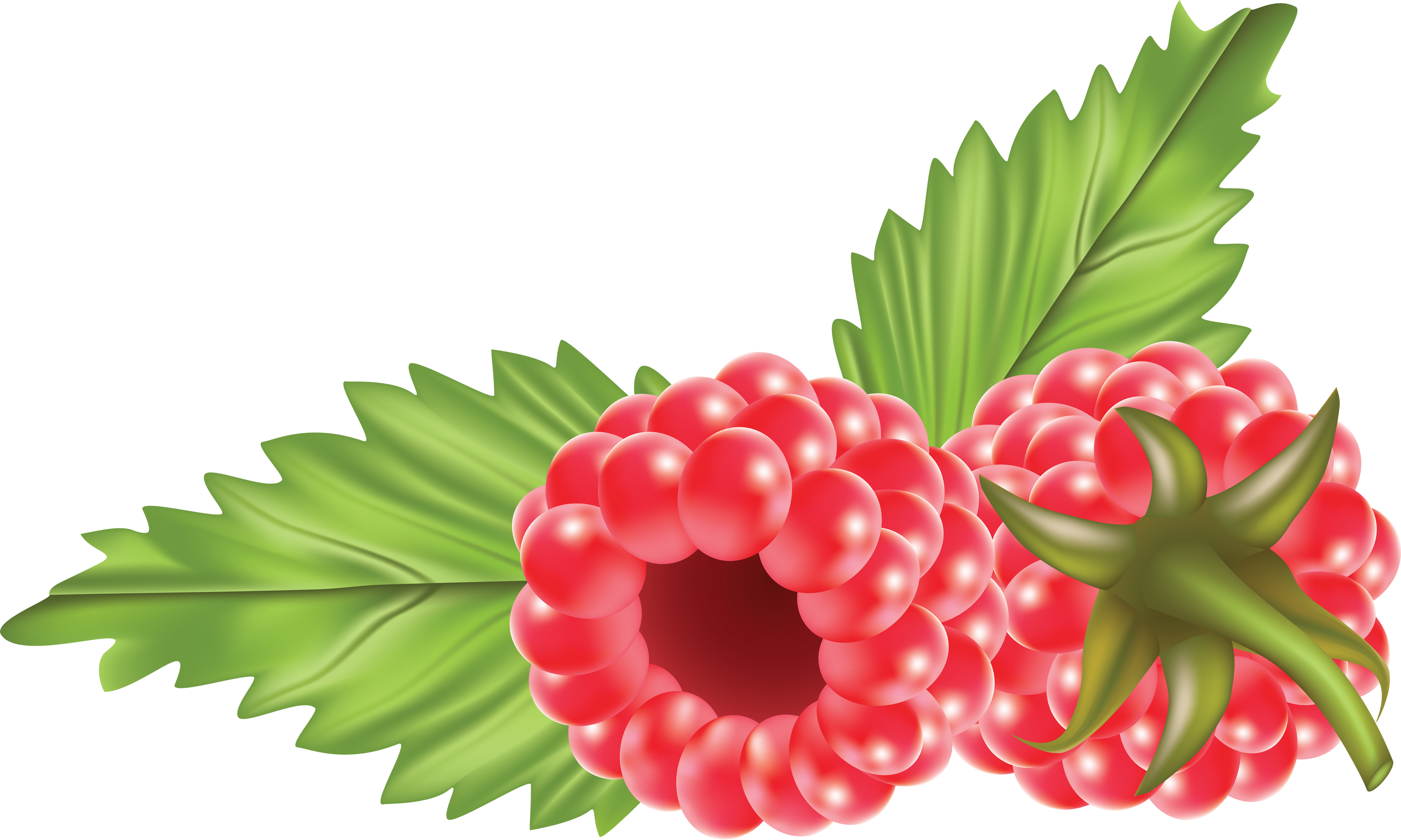 Rraspberry PNG image - Raspberry Clip Art