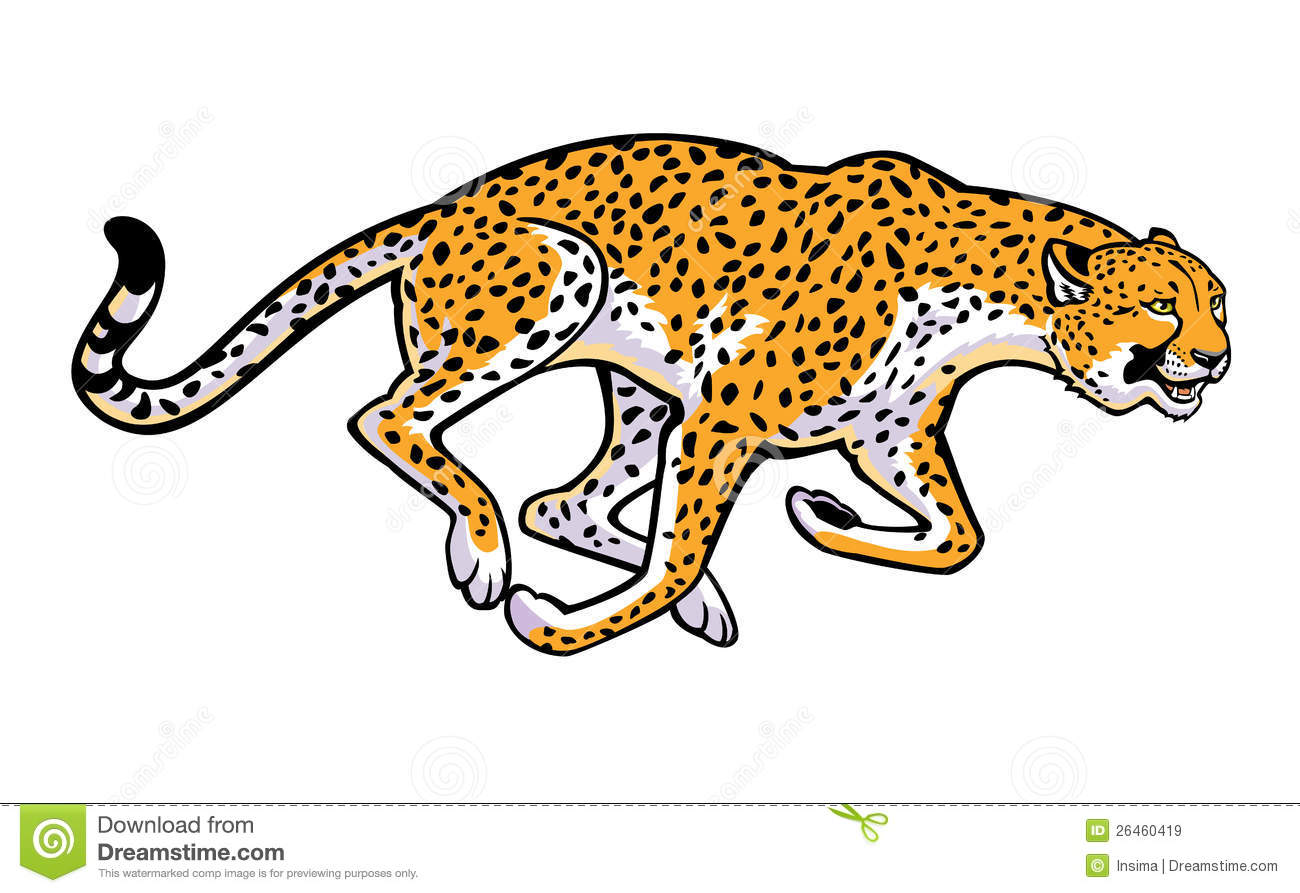 Running cheetah Royalty Free  - Clipart Cheetah