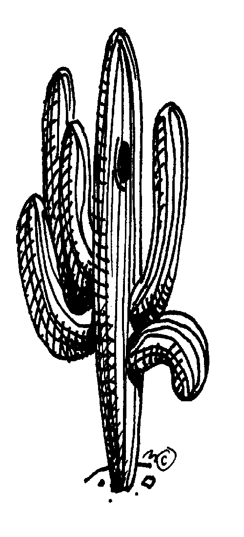 Saguaro Cactus Clip Art Black And White Cactus