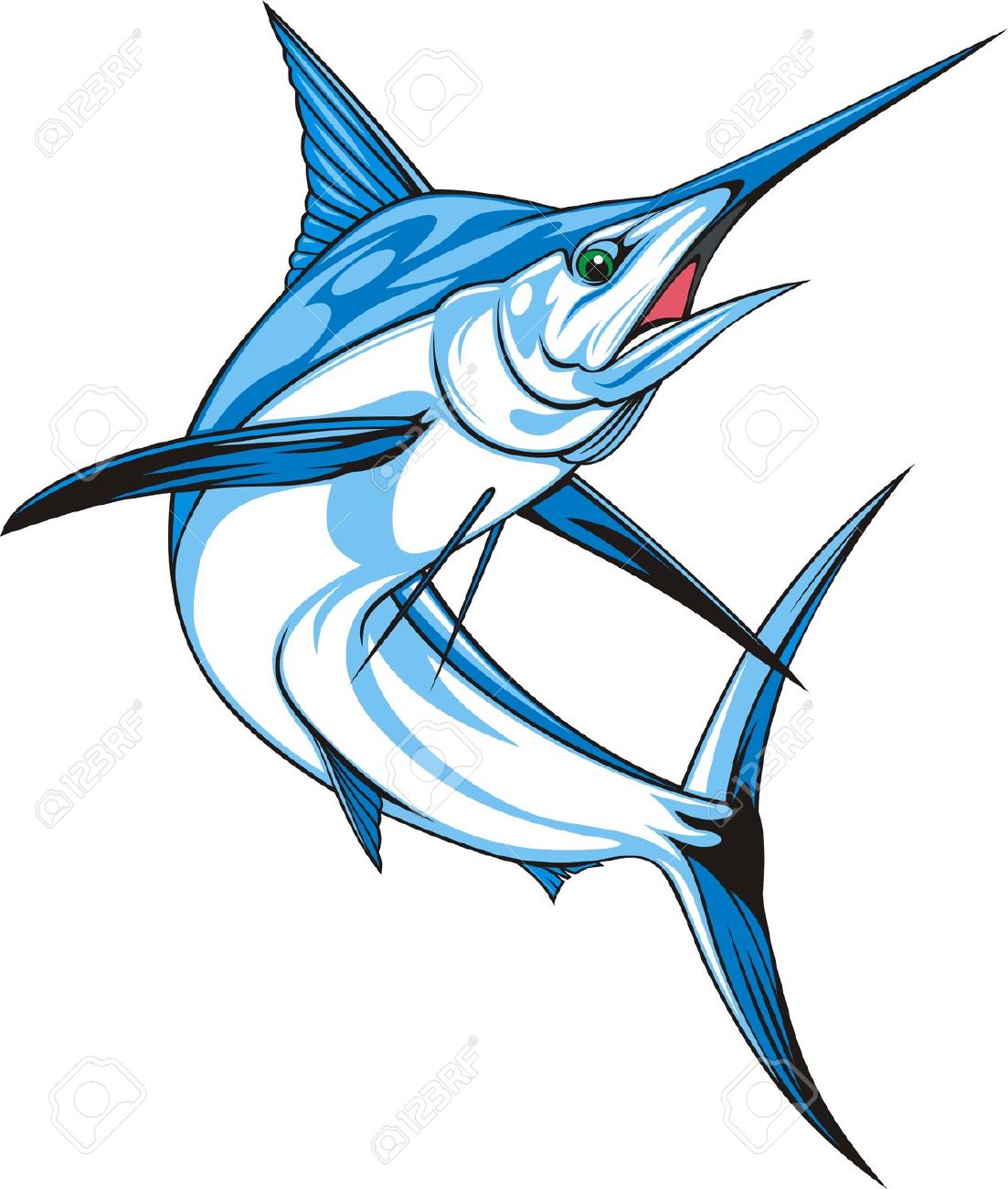 sailfish: natural blue marlin on the white background