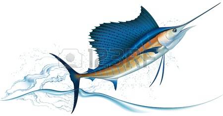 sailfish: Sailfish jumping out of water Realistic vector illustration
