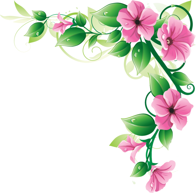 Sakura Flower Clipart u0026mi - Rose Border Clip Art