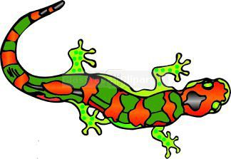 Salamander Clip Art - Salamander Clipart