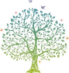 Family Tree Clipart | ... bra