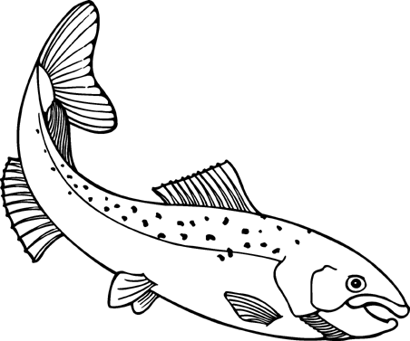 Native salmon clip art free v