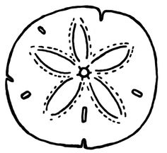 Sand Dollar Clipart - ClipArt Best; Henna, Colors and Henna doodle ...