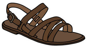 Leather womanu0027s sandal. Hand drawing of a leather low womanu0027s sandal  Royalty Free Stock Image