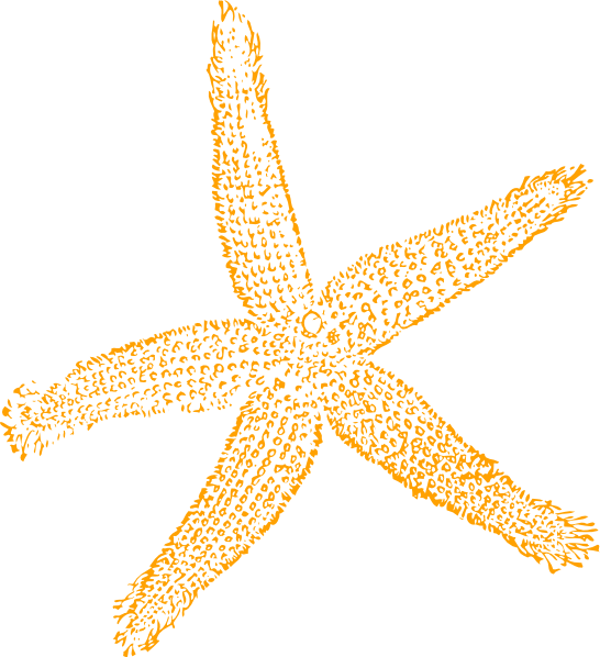 Sandy Starfish Clip Art At Cl - Starfish Clip Art