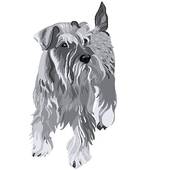 Schnauzer dog silhouette vector; vector Miniature Schnauzer dog