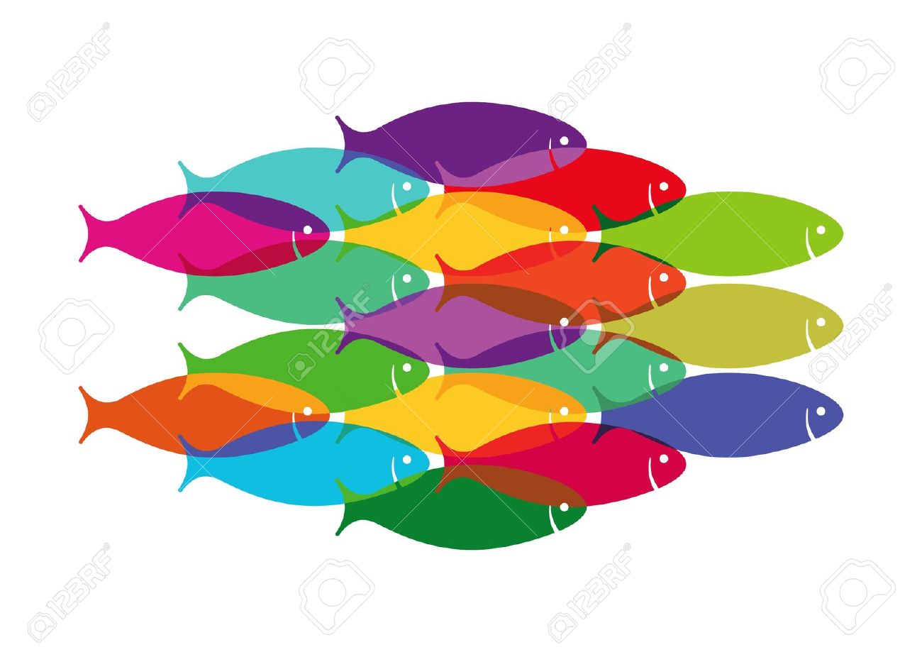 school of fish: Colourful Fish Shoal Illustration