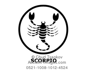 black and white scorpio the scorpion