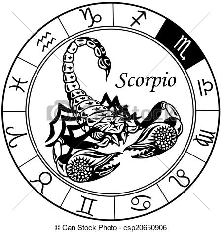 scorpion zodiac black white - csp20650906