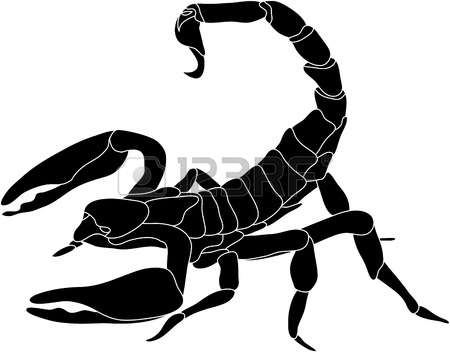 vector - color scorpion isolated on white background Illustration
