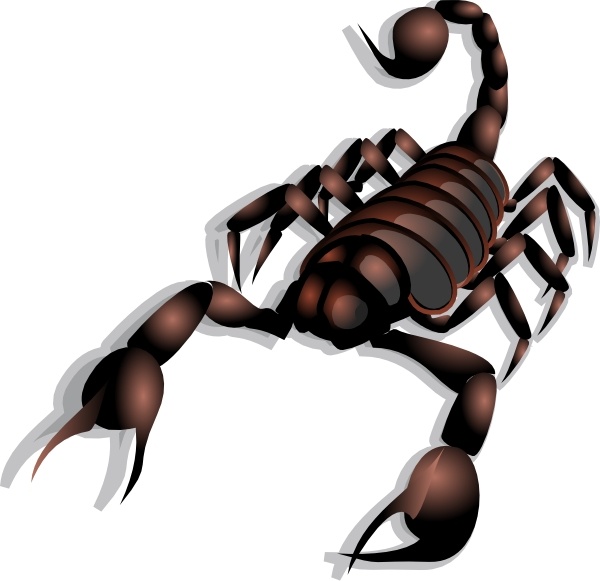 Scorpion clip art - Scorpion Clip Art