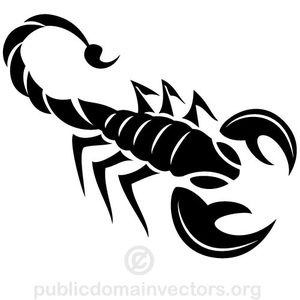 Cheerleader scorpion clip art - Scorpion Clipart