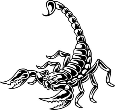 Cool Scorpion Clipart #1