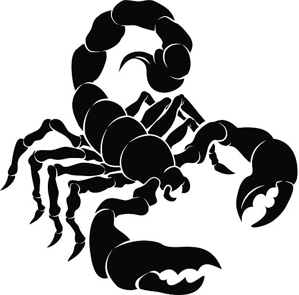 Isolated vector clip art of black u0026 white stylized scorpion vector art  illustration